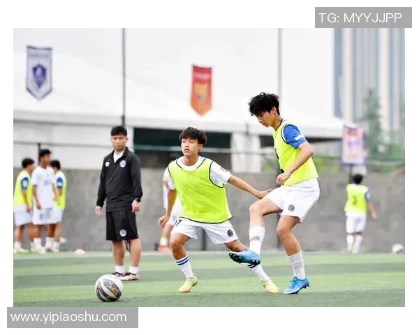 足球明星金字塔的崛起与影响力解析:从青训到职业生涯的全景探讨